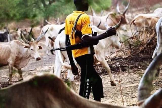 Suspected herders kill farmer in Jattu, Etsako west LGA