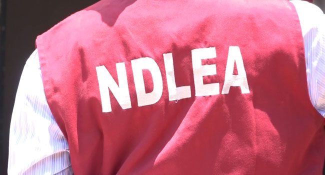 Drug war: NDLEA intensifies sensitisation at motor parks, strengthens collaboration with NURTW   