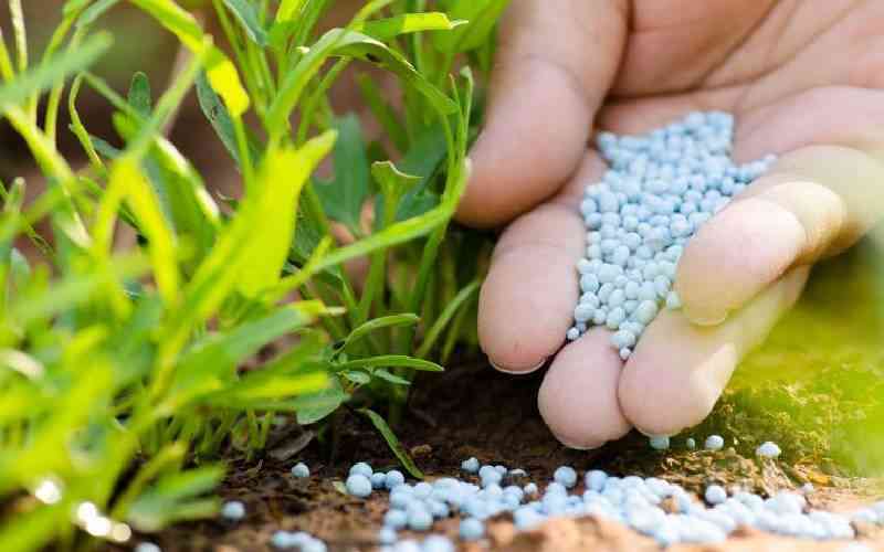 Fertilizer price not threat to food security- FEPSAN