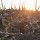 Ukrainian army says it continues attacks near recaptured key village