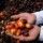 Indonesia lifts palm oil export ban after protests