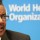 WHO reports exponential rise in cholera cases in Africa