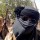 Niger Republic frees Boko Haram members, ‘terrorist chiefs’