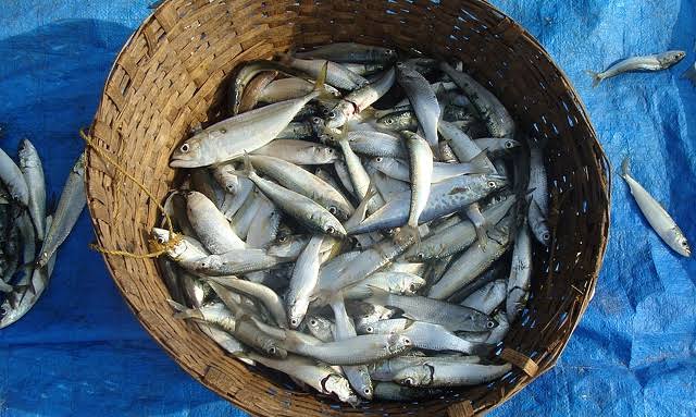 Fish farmers commit to meeting annual consumption target