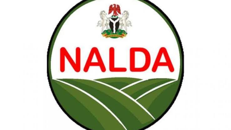 NALDA inspects 100 hectares farm estate in Kwara