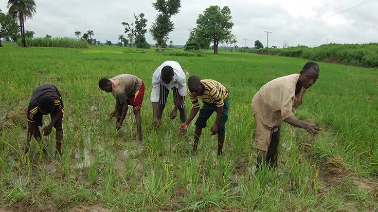 Institute trains Northwest farmers on soil management, conservation.