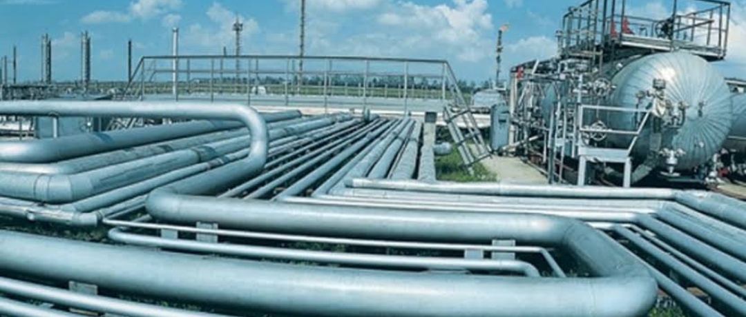 FG’s plans to increase oil, gas reserves on course – DPR