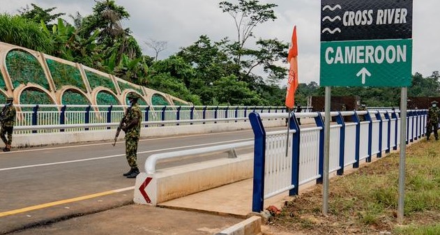 Nigeria, Cameroon border bridge will facilitate free trade – Fashola