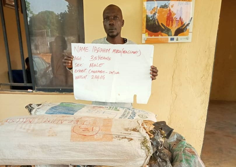 NDLEA busts interstate drug cartels in Kogi, Nasarawa, Benue states