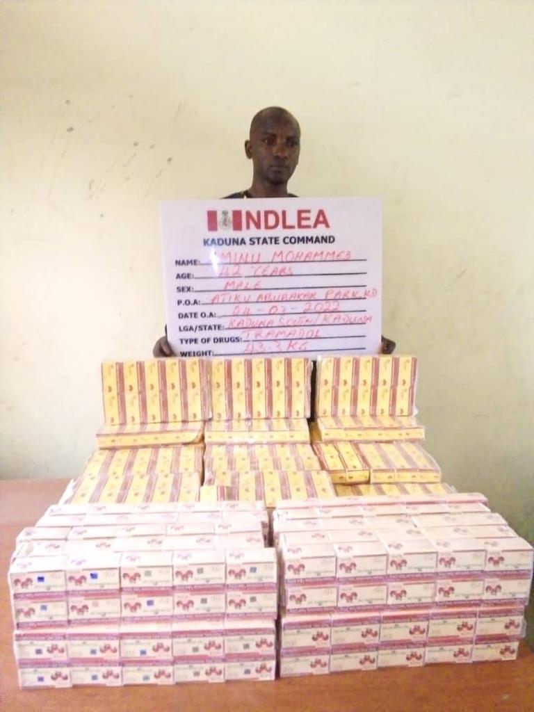 NDLEA recovers 294,440 Tramadol tabs, others in Delta, Bauchi, Ikeja