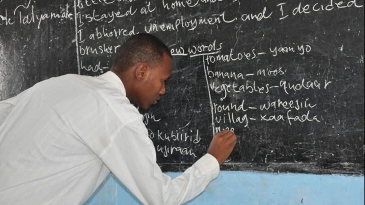 FG disburses N57bn for teachers’ devt. in 13 years – UBEC