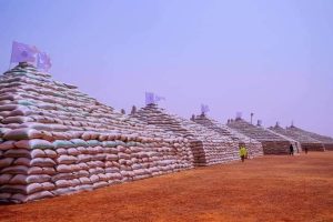 Ortom labels Buhari rice pyramid as '419'
