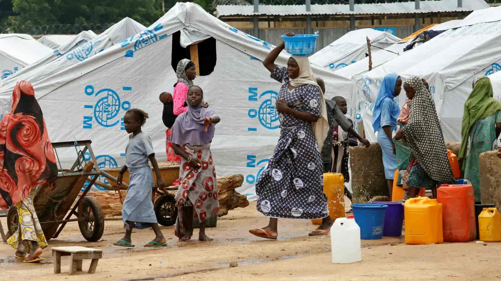 Over 17,000 babies born in 18 Borno IDP camps since 2019 – IOM