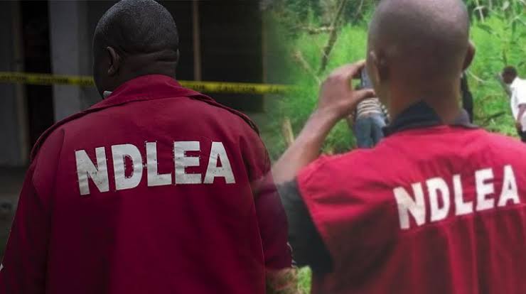 Oborevwori tasks NDLEA on substance abuse, illicit drug trafficking