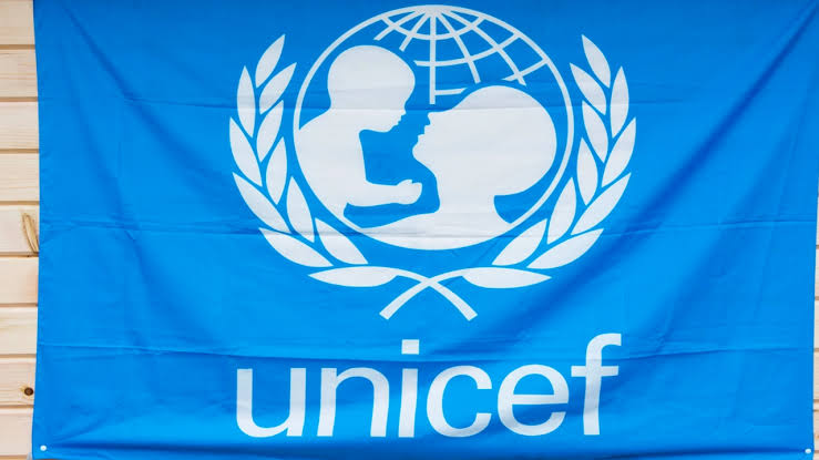 UNICEF, NOA dialogue on flooding emergency plans in Niger