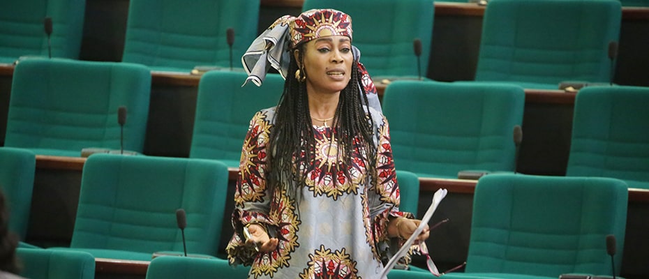 ECOWAS Parliament: Nigeria delegation identifies insecurity as greatest challenge
