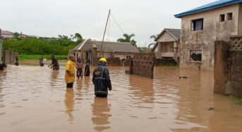 NEMA, experts, stakeholders engage in flood mitigating actions in South-East