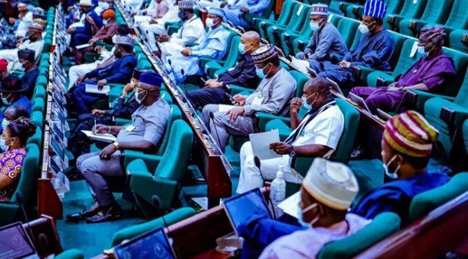 Reps move to create special seats for women in NASS, state assemblies