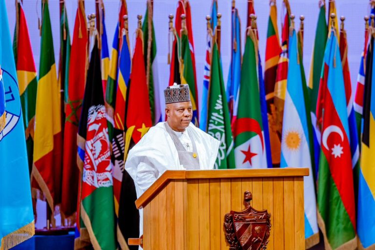 Shettima seeks international cooperation to combat global challenges