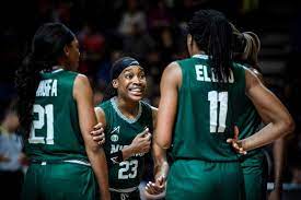 FG suspends Nigeria from international basketball competitions for two years