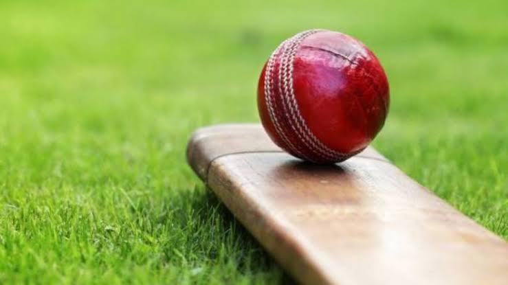 Cricket Federation appoints new coaches on interim basis